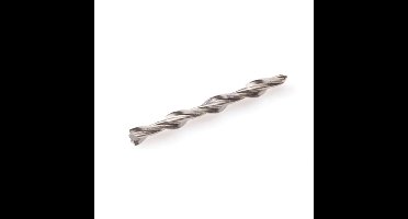 Hoenderdaal gasbetonnagel [100st] RVS-A2 6x60mm