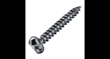 DX anti-inbraakschroef - 4.0x30mm - gegalvaniseerd - bolle kop
