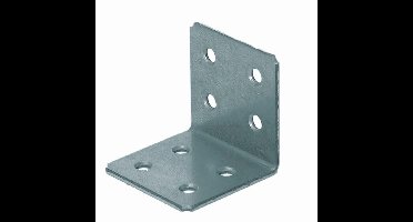 Gebr. Bodegraven versterkingshoek - 40x40mm - verzinkt - 82452.B001+barcode