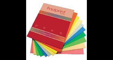 10 Kleuren A4 papier 80 gram 250 vel Fastprint 129429