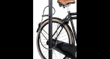 AXA RLD insteekkabel zwart 180cm x 12mm