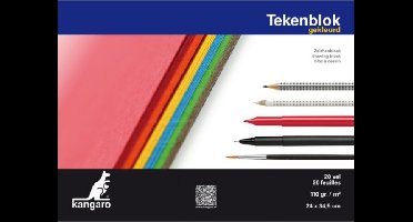 Kangaro tekenblok A4+ 110 gram 20 vel gekleurd