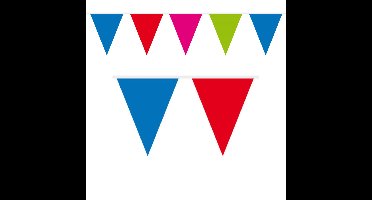 1x Mini vlaggenlijn / slinger multi colour 300 cm