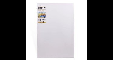 Benson Schilderdoek - canvas - 40 x 60 cm - canvas doek - schilderen