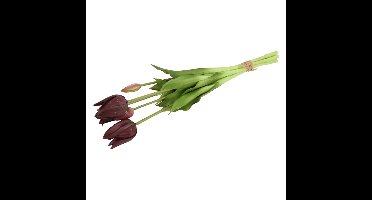 Countryfield Kunst tulpen boeket Greigii - 5x stuks - paars - real touch - kunst zijdebloemen - 45 c