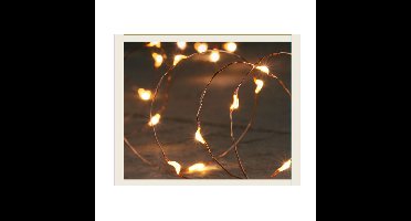 Draadverlichting - koper- 10 led lampjes - warm wit - batterij - 100 cm