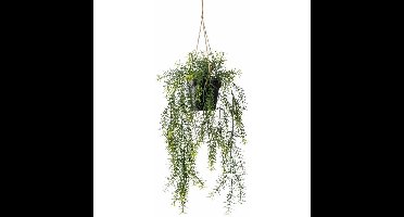 Emerald kunstplant/hangplant in pot - Asparagus - groen - 50 cm lang
