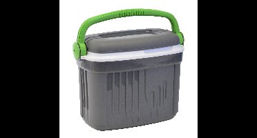 Iceberg koelbox - 32 liter - kunststof - grijs - 47 x 33 x 42 cm