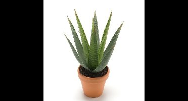 Kunstplant Aloe Vera - groen - in terracotta pot - 23 cm