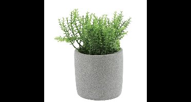 Kunstplant/kruiden rozemarijn - Countryfield - in grijs cement potje - 19 cm - kruiden