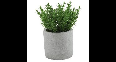 Kunstplant/kruiden thijm - Countryfield - in grijs cement potje - 19 cm - kruiden