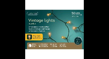 Lumineo Vintage kerstverlichting - 50 led lampjes - klassiek warm wit - 490 cm - batterij