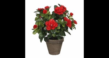 Mica Decorations Kunstplant - Azalea - groen/rood - 27 cm - Met mooie bloemen