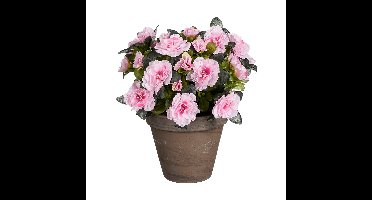 Mica Decorations Kunstplant - Azalea - Roze - in pot - 31 cm