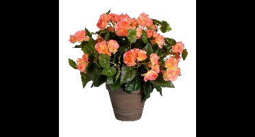 Mica Decorations Kunstplant - begonia - zalmroze - in pot - 37 cm