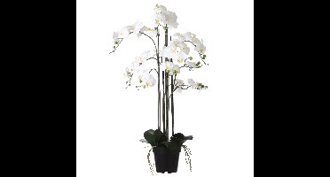 Mica Decorations Orchidee bloem kunstplant - parel wit - H97 x B19 cm