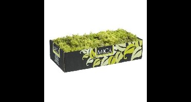 Mica Decorations Rendiermos - 500 gram - lichtgroen - hobby mos