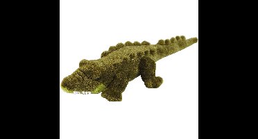 Pluche knuffel dieren Krokodil van 40 cm