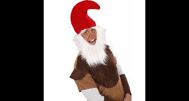 Rode Kaboutermuts - met baard en wenkbrauwen - Dwergen - verkleed accessoires