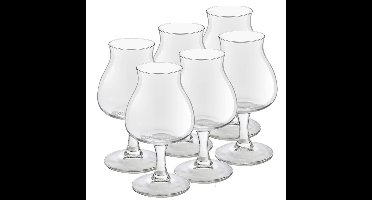 Royal Leerdam Speciaal Bierglazen Lund - 6x stuks - 260 ml - Hoog glas op voet