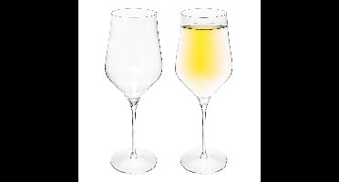 Set van 2x grote wijnglazen voor rode wijn Rhone 740 ml van glas