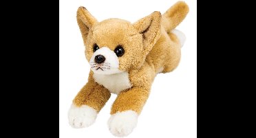Suki gifts Pluche knuffel Chihuahua hond - 30 cm - Knuffeldieren - Honden soorten