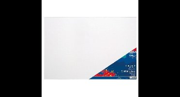 Toppoint Canvas schildersdoek - 40 x 60 cm - schilderen - doeken op frame