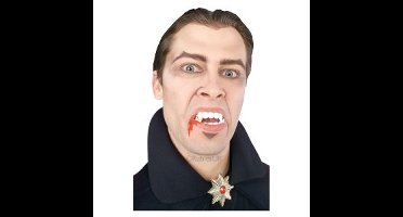 Vampier tanden - volwassenen - kunstgebit - Halloween/Horror thema - Dracula