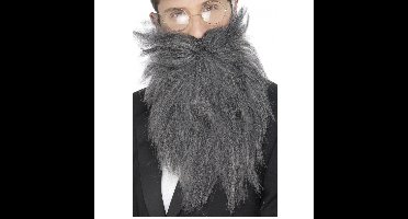 Verkleed baard en snor - grijs - lang model - professor/geleerde/wijze man