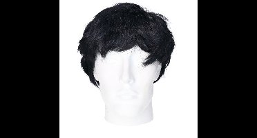 Verkleedpruik voor heren - zwart - seventies/popster/sixties/surfboy - Carnaval - kort haar