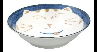 Kawaii Porseleinen Kom - Blauwe Kom - 450ml 16.5cm