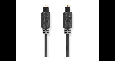 Nedis Optische Audiokabel Toslink 1m