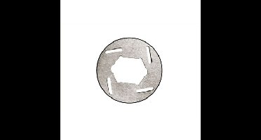 Brake disk, special (IFW-122)