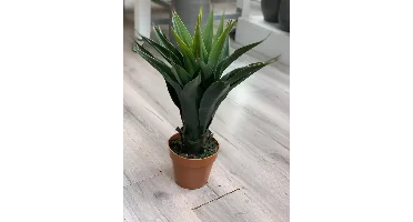 Kunstplant Agave i/pot h60cm groen