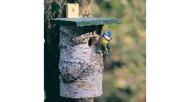 CJ Wildbird Nestkast Berken 21x18x30cm d32mm