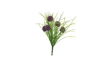 Gras allium l93cm paars