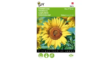 Helianthus, lage Zonnebloem Yellow