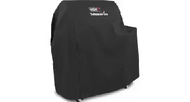 Weber Hoes smokefire ex4