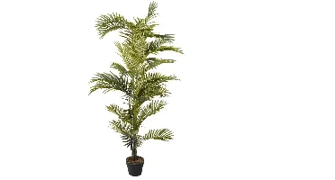 Kunstplant Areca palm met pot - h160cm