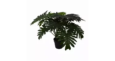Kunstplant Philodendron 'xanadu' met pot - h60cm