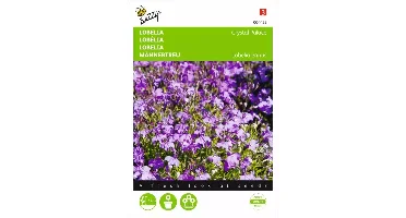 Lobelia Crystal Palace