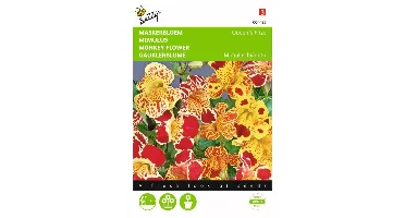 Mimulus, Maskerbloem Queen's Prize gemengd
