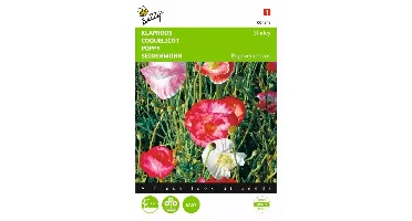 Papaver, Klaproos Shirley dubbelbloemig gemengd