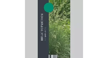 Siergras Helictotrichon sempervirens - Blauwstraalhaver 17cm