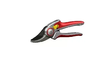 Wolf Snoeischaar - rr 5000