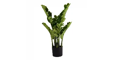 Kunstplant Zamioculcas in pot h80cm