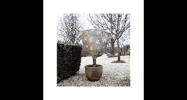 2x Plantenhoes jute naturel wintermotief 1 m x 75 cm anti-vorst