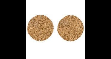 2x stuks inlegvel kokos voor hanging basket 25 cm - kokosinleggers