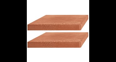 2x Stuks planten trolleys/multirollers vierkant terracotta kunststof 30 cm