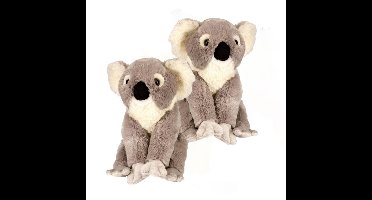 2x stuks pluche koala beer knuffelbeestje 30 cm
